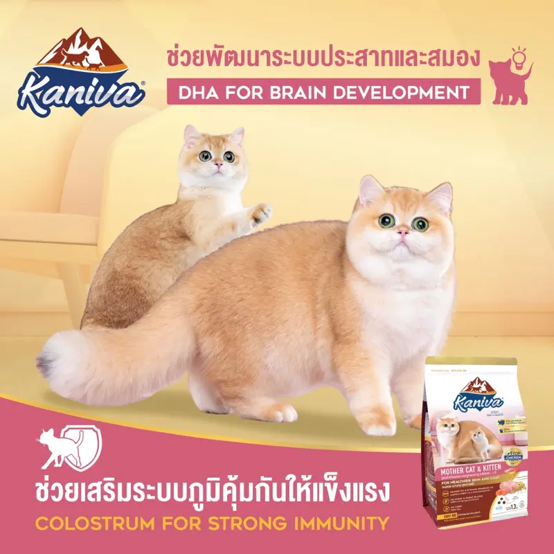 Kaniva อาหารเม็ดแมวคานิว่า… - ภาพที่ 4