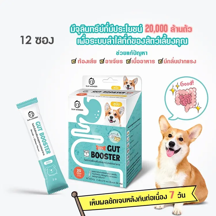 SUN WONDER GUT BOOSTER… - ภาพที่ 4