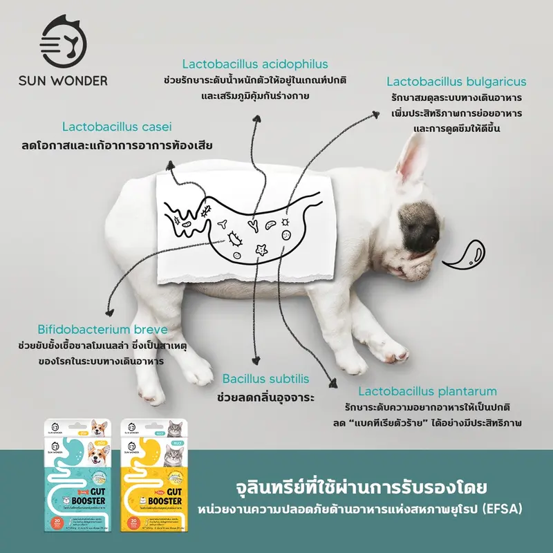 SUN WONDER GUT BOOSTER… - ภาพที่ 5