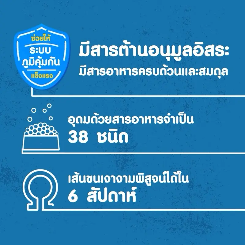 เพดดิกรี อาหารสุนัขชนิดเม็ด รสไก่และผัก 10 กก - ภาพที่ 6