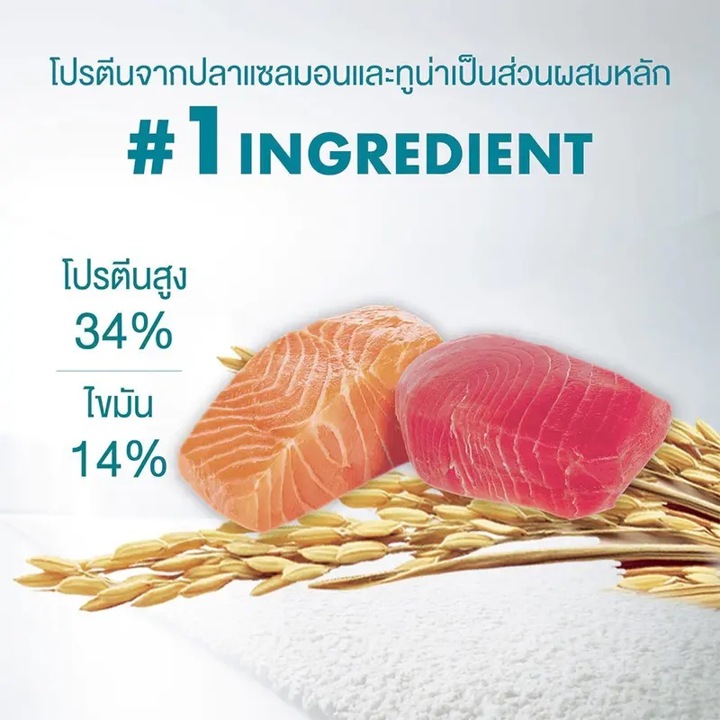 ถูกที่สุด 100 ถุงเท่านั้น ! PURINA ONE… - ภาพที่ 4