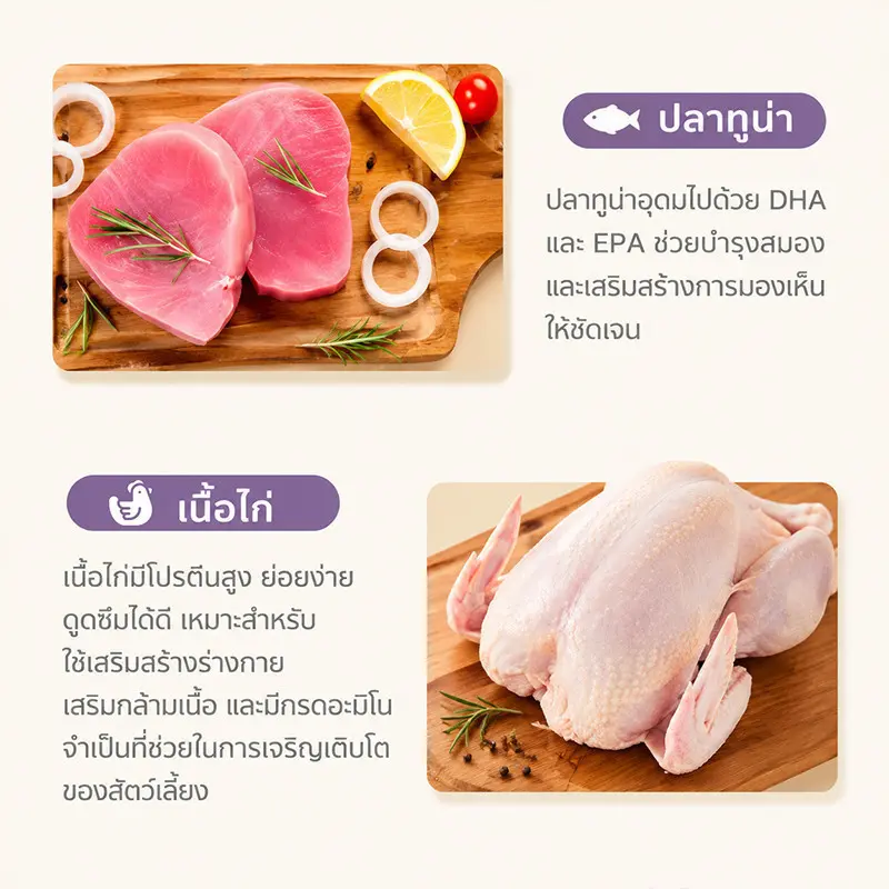 อาหารเปียกแมว บำรุงผิวหนัง รสแซลมอน… - ภาพที่ 4