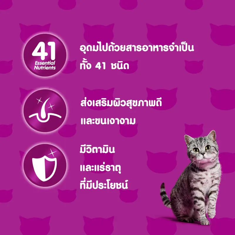 WHISKAS วิสกัส อาหารเปียกแมว ลูกแมว แมวโต… - ภาพที่ 4