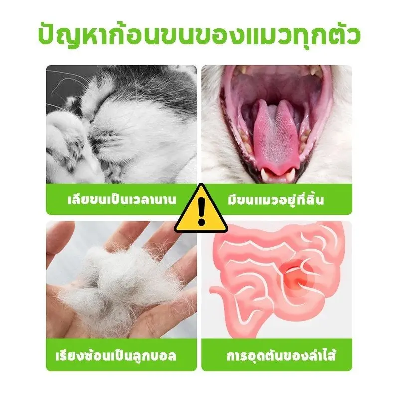 ขนมแมว ฟรีซดราย อกไก่ ต้นอ่อนข้าวสาลี หญ้าแมว… - ภาพที่ 6
