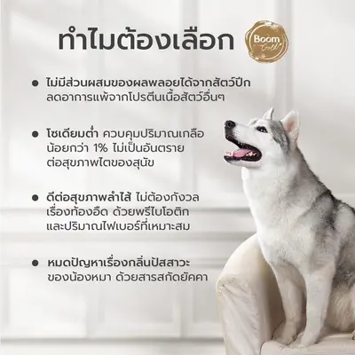 Boom Gold อาหารสุนัข รสเนื้อแกะ 10 KG เกรดพรีเมียม… - ภาพที่ 4