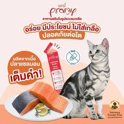 Pramy อาหารเสริมแมวเลีย ขนมแมวเลีย… - ภาพที่ 4