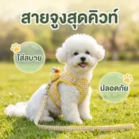 ชุดสายจูงสุนัข สายรัดหน้าอก ลายการ์ตูนน่ารัก 3 สี ราคาถูกมาก ระบายอากาศดี ไม่อับชื้น ของแท้ส่งไว
