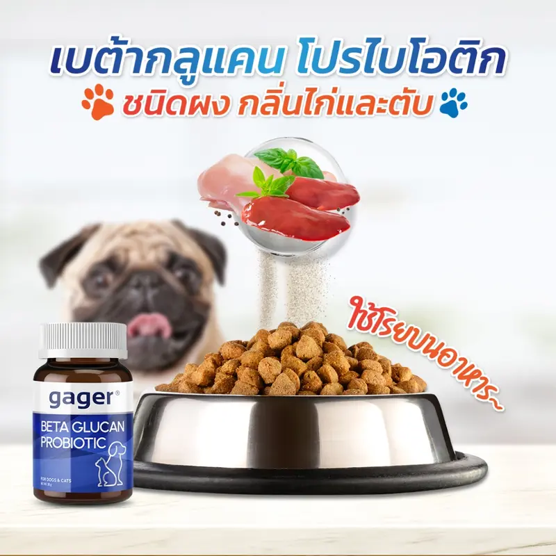 Gager วิตามินหมา วิตามินแมว… - ภาพที่ 6