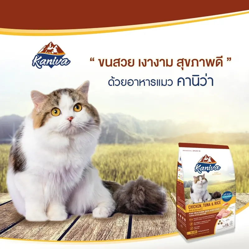 Kaniva คานิว่า อาหารเม็ดแมว โซเดียมต่ำ บำรุงสุขภาพ… Kaniva คานิว่า อาหารเม็ดแมว โซเดียมต่ำ บำรุงสุขภาพ…