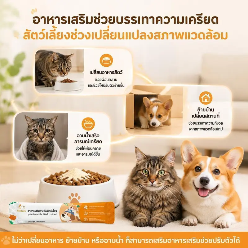 Ketzuzu 12/24 แพ็ค อาหารเสริมแมว อาหารเสริมสุนัข… - ภาพที่ 6