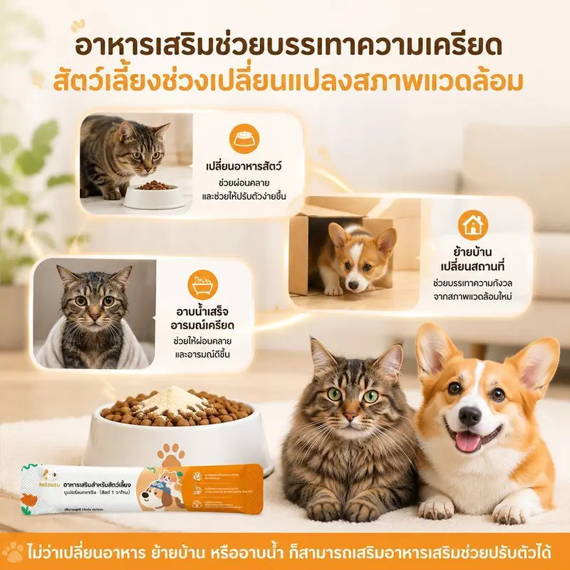 Ketzuzu 12/24 แพ็ค วิตามินสุนัข อาหารเสริมแมว… - ภาพที่ 6