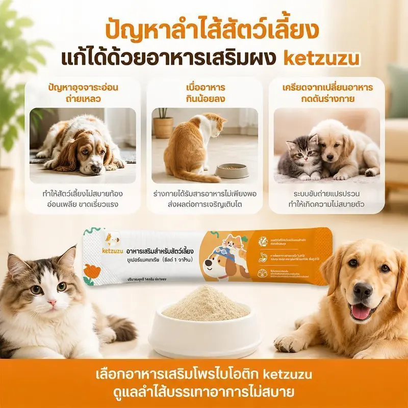 Ketzuzu 12/24 แพ็ค อาหารเสริมแมว วิตามินแมว โปรไบโอติก… Ketzuzu 12/24 แพ็ค อาหารเสริมแมว วิตามินแมว โปรไบโอติก…
