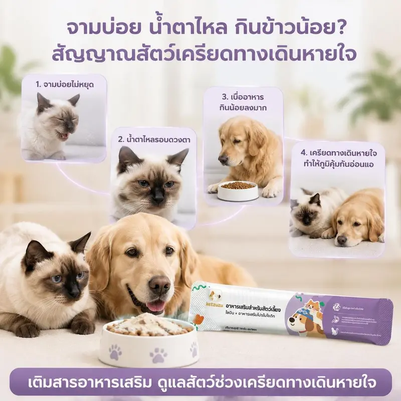 Ketzuzu 12/24 แพ็ค อาหารเสริมแมว อาหารเสริมสุนัข… - ภาพที่ 6