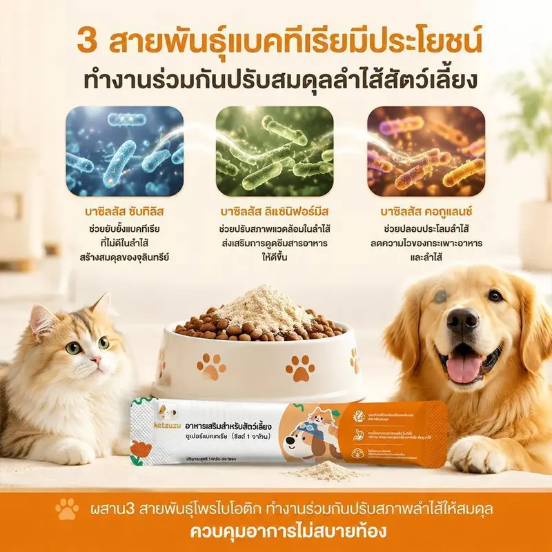 Ketzuzu 12/24 แพ็ค วิตามินแมว เสริมภูมิคุ้มกันแมว… - ภาพที่ 5