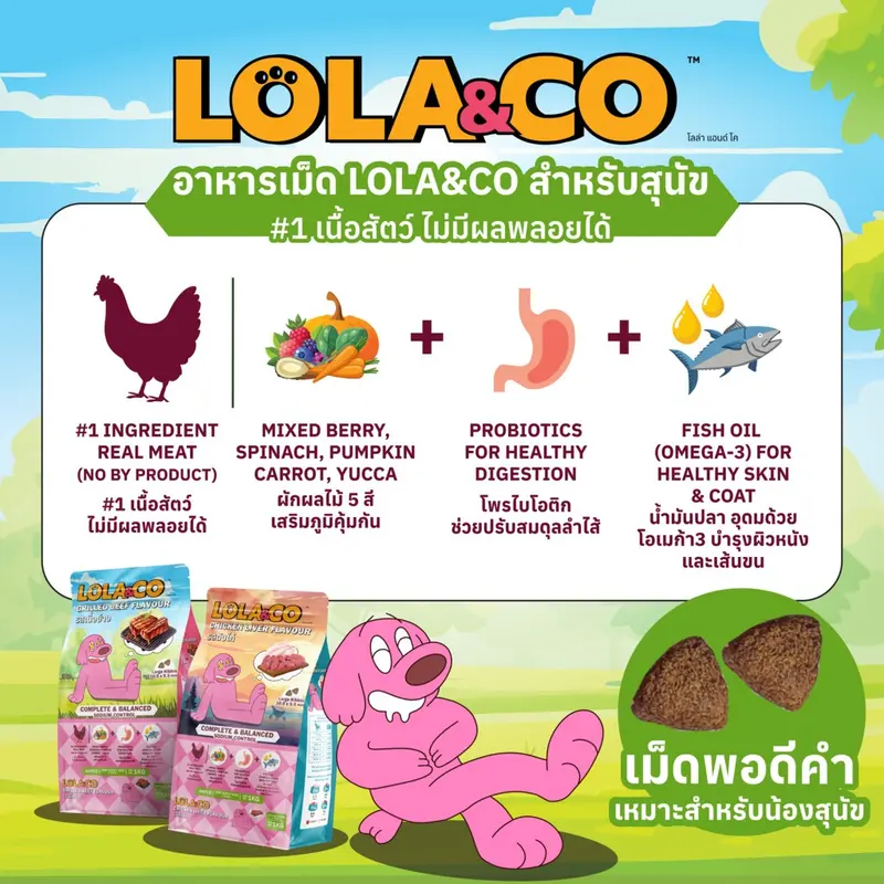 Lola & Co อาหารสุนัขแบบเม็ด ขนาด 1 kg - ภาพที่ 5