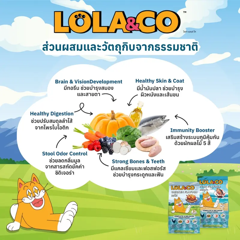 Lola&Co โลล่าแอนด์โค อาหารเม็ดแมว โปรตีนจากเนื้อสัตว์… - ภาพที่ 5
