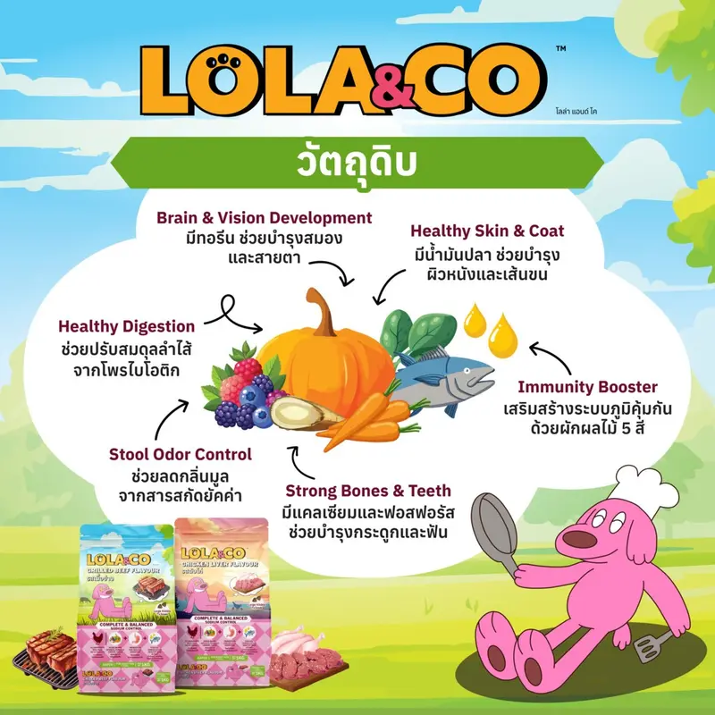 Lola & Co อาหารสุนัขแบบเม็ด ขนาด 7 kg - ภาพที่ 4