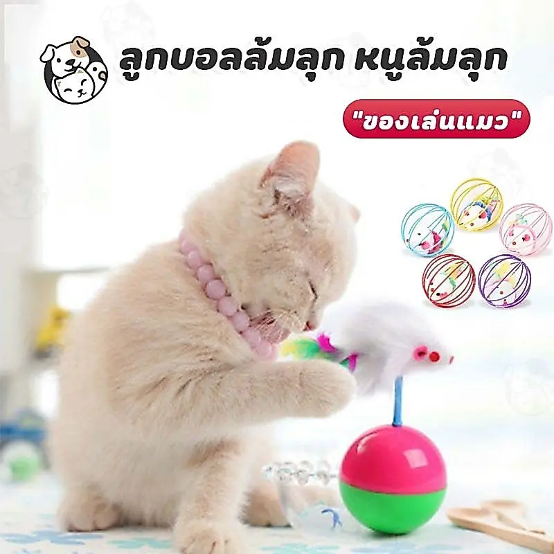 ลูกบอลล้มลุก หนูล้มลุก ของเล่นแมว บอลกรงหนู… ลูกบอลล้มลุก หนูล้มลุก ของเล่นแมว บอลกรงหนู…