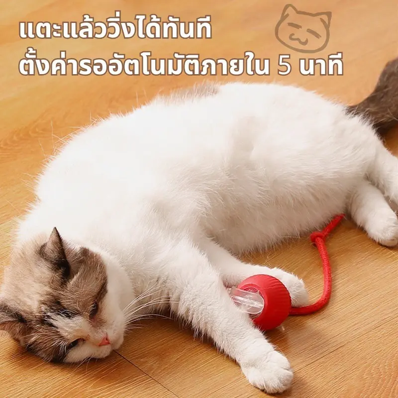 ลูกบอลแมว ลูกบอลแมวอัตโนมัติ แบบชาร์จไฟได้ ของเล่นแมว… ลูกบอลแมว ลูกบอลแมวอัตโนมัติ แบบชาร์จไฟได้ ของเล่นแมว…