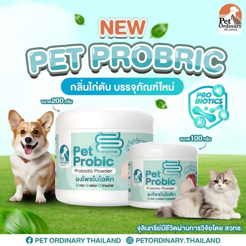 Pet Ordinary Pet Probic [แพคเกจใหม่] ผงโพรไบโอติกสุนัข…