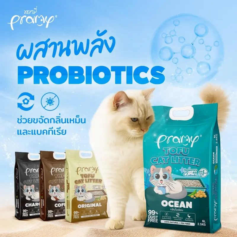 Pramy ทรายแมวเต้าหู้ สูตรไร้ฝุ่น จับตัวเป็นก้อนเร็ว… - ภาพที่ 5
