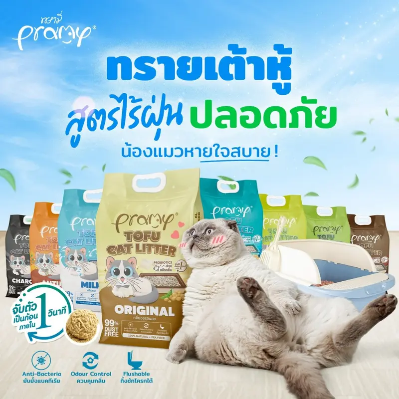 Pramy ทรายแมวเต้าหู้ สูตรไร้ฝุ่น จับตัวเป็นก้อนเร็ว… Pramy ทรายแมวเต้าหู้ สูตรไร้ฝุ่น จับตัวเป็นก้อนเร็ว…
