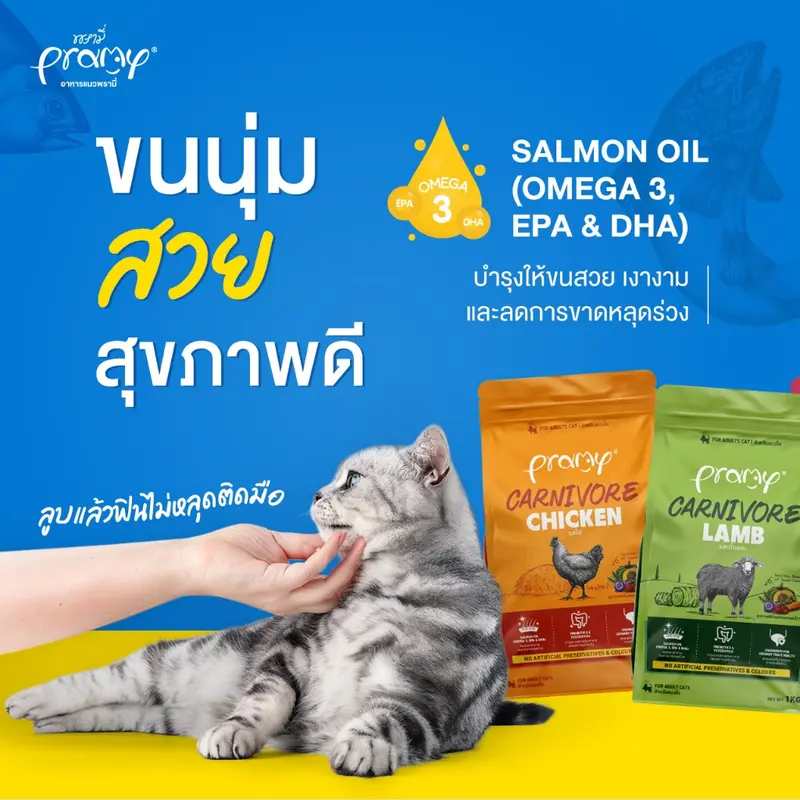Pramy Carnivore อาหารเม็ดแมวพรามี่ สูตรเน้นเนื้อแท้… - ภาพที่ 6