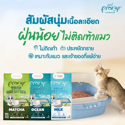 Pramy พรามี่ ทรายแมวเต้าหู้ สูตรไร้ฝุ่น… - ภาพที่ 6