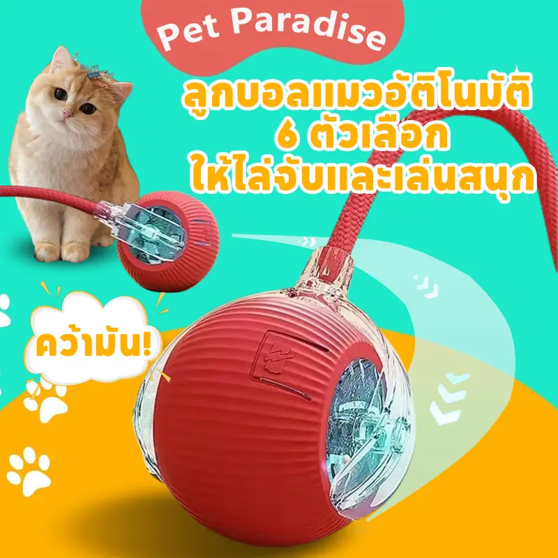 ของเล่นแมว ลูกบอลสัตว์เลี้ยง ของเล่นแมวอัจฉริยะ 6… ของเล่นแมว ลูกบอลสัตว์เลี้ยง ของเล่นแมวอัจฉริยะ 6…