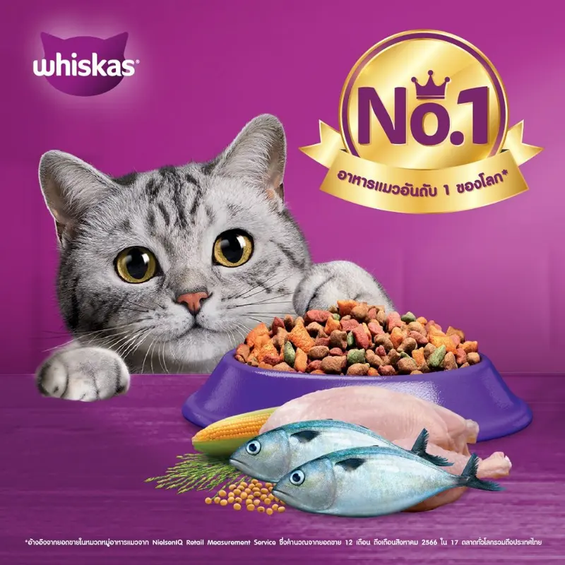 Whiskas วิสกัส อาหารแมวชนิดแห้ง แบบเม็ด ขนาด 2.7-… - ภาพที่ 6